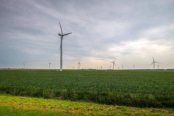 Windmill on the reclaimed land of Flevoland in the Netherlands