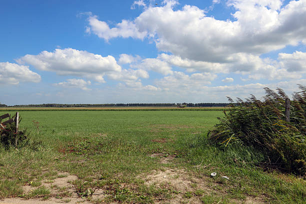 Meadows in the Zuidplaspolder where new village Cortelande will be build in the Netherlands