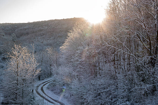 The sun rises over a snow-covered forest road, with light filtering through frosted trees and soft lens flares appearing like quiet signs of warmth returning after a long winter.