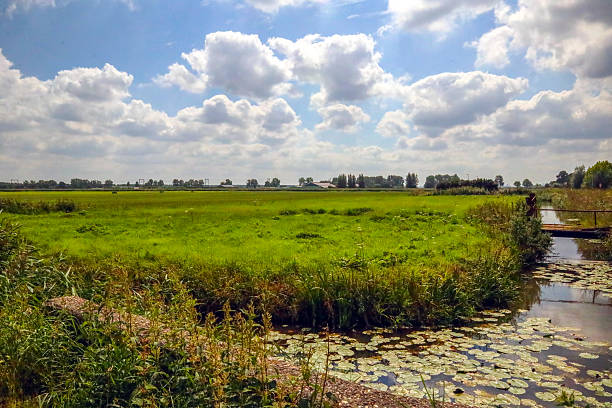 Meadows at future Cortelande where new commercial area will arise named Doelwijk II