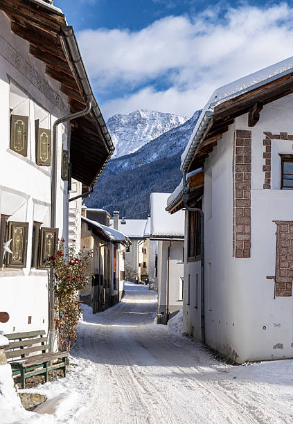 Aerial view of a quaint village nestled in a valley with alpine houses and winding roads. Scenic mountain landscape with dense forests and grassy meadows. Rural community in nature.
