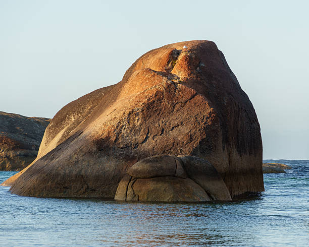 Large rounded granite boulders stand amid calm coastal water, illuminated by soft natural light. The scene shows the distinctive rock formations of a well-known shoreline area in Western Australia.