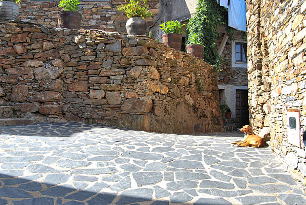 Horizontal Image of a Dog Sunbathing Small Village of Janeiro de Cima - Portugal