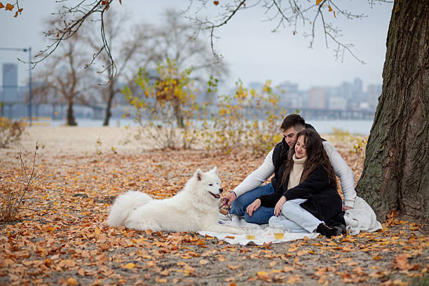 A young couple with a Samoyed dog on a picnic