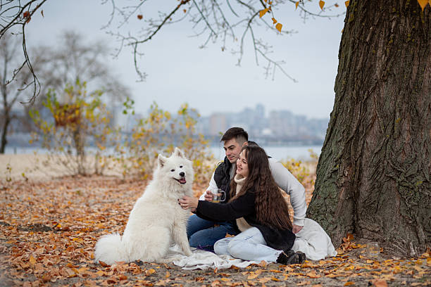 A young couple with a Samoyed dog on a picnic