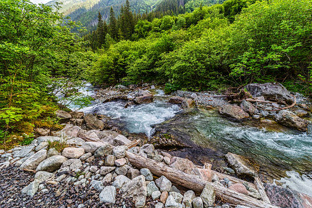 istock Gravel hiking path alongside a mountain river in High Tatras 2254341509