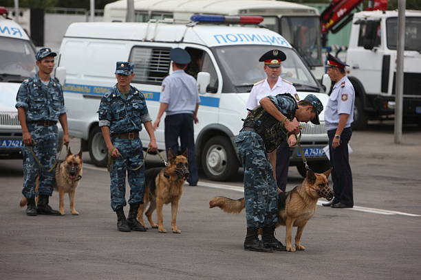 The National Guard of Kazakhstan staged a performance of “detaining” a criminal with the help of a trained dog. A German dog helps detain a criminal.