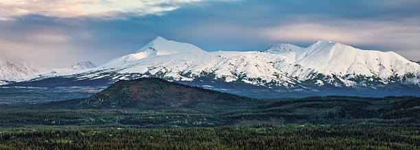 Panoramic view of snow covered peaks rising above vast boreal forest in remote Alaska Range wilderness under a dramatic cloudy sky. Untouched subarctic landscape. Denali Borough, Alaska Range, United States, Alaska, North America