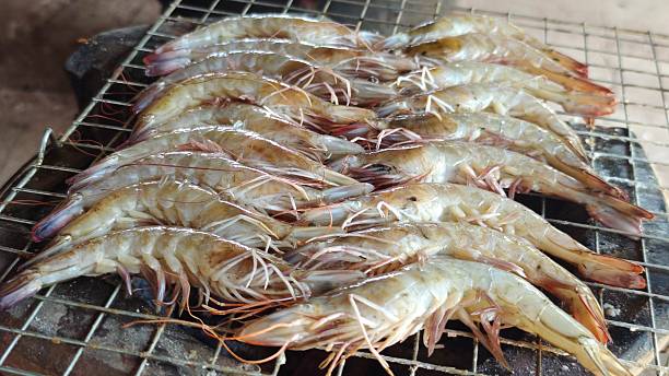 Grilled shrimp on charcoal stove.