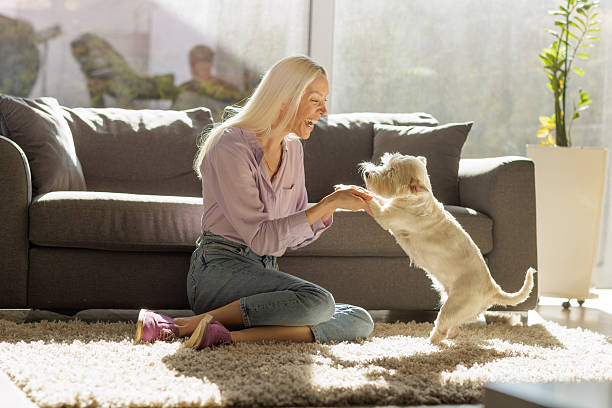 istock Joyful woman playing with her pet dog 2254344121