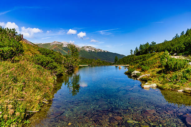 Transparent water of a mountain stream reflecting the blue sky. Captured in the High Tatras near Zelene pleso, with the scenic limestone ridge of Belianske Tatras in the distance and lush green vegetation.