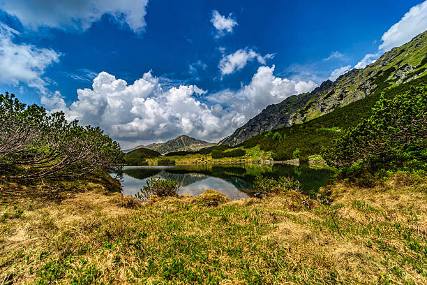 Stunning view of Nizne Temnosmrecinske pleso, a glacial lake in the High Tatras National Park, Slovakia. The image features transparent water with rocks on the bottom, surrounding jagged mountain peaks, and a dramatic sky reflecting on the calm surface.