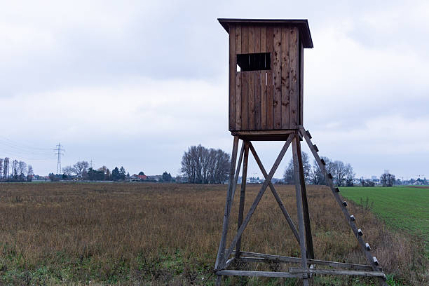 This image depicts a high seat for hunters situated in a recently harvested field, surrounded by the remnants of crops. The elevated platform offers a strategic vantage point for observing wildlife, highlighting the connection between nature and hunting practices. The backdrop of the open field, with its earthy tones and textures, evokes a sense of tranquility and the changing seasons. This visual is perfect for outdoor and hunting-themed projects, such as promotional materials for hunting gear, wildlife conservation, or rural lifestyle magazines. It captures the essence of outdoor adventure and the appreciation of nature, making it a compelling choice for audiences interested in hunting and wildlife