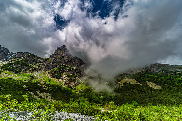 A scenic view of the mountain cabin \