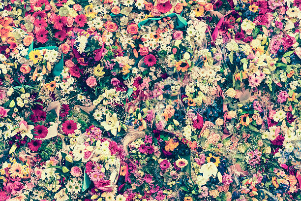 Pattern of fresh colorful roses