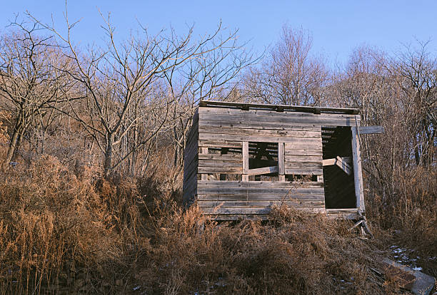 A weathered, dilapidated wooden hut stands solitary on a hillside surrounded by dry, brown vegetation and leafless trees under a clear blue sky. The raw texture of the aged timber and the stark, late-season lighting create a moody, rustic atmosphere of solitude and decay.