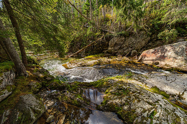 istock Mountain stream flowing through rocky forest in High Tatras, Slovakia 2254349068