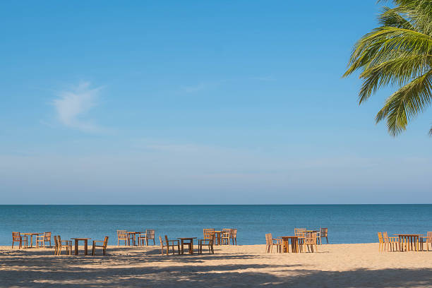 istock Sunny Tropical Beach Scene with Empty Wooden Dining Tables and Palm Trees 2254350695