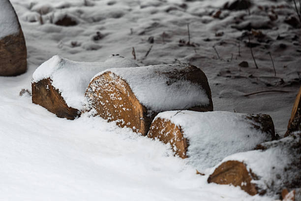 firewood logs covered with snow