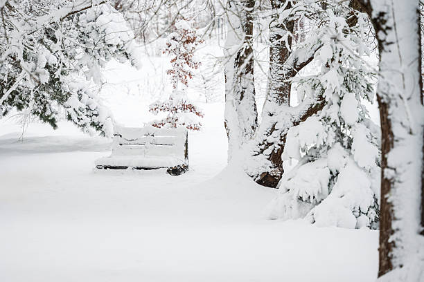 a wooden bench in the snow in a park