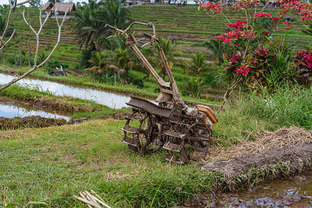 istock Jatiluwih in Bali 2254355676