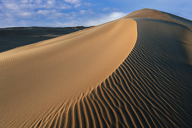 istock Winter Sunrise, Silver Lake Sand Dunes 2254356367