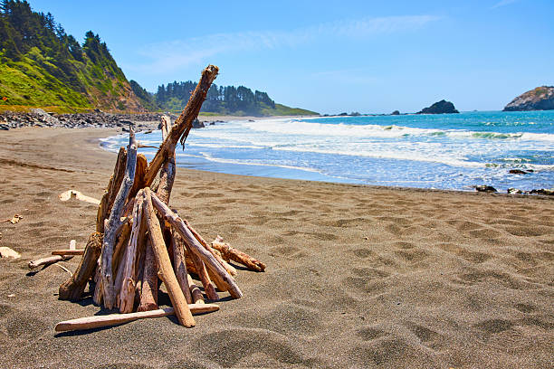 istock Driftwood Structure on Serene Beach with Ocean and Cliffs at Eye Level 2254358494
