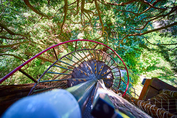 High-angle view of a spiral staircase with red handrail winding through lush forest canopy in California's Klamath Redwoods at Trees of Mystery. Adventure awaits with each step down into nature's embrace.