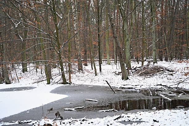 Canal captured during snowfall in winter
