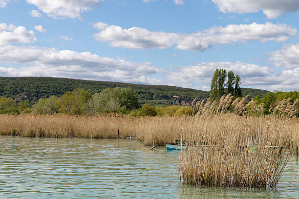 A serene lakeside scene under a cloudy sky, with tall reeds in the foreground and a forested hill in the background.