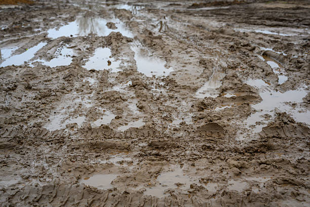istock Traces of movement across a muddy landscape in an overcast setting 2254360166