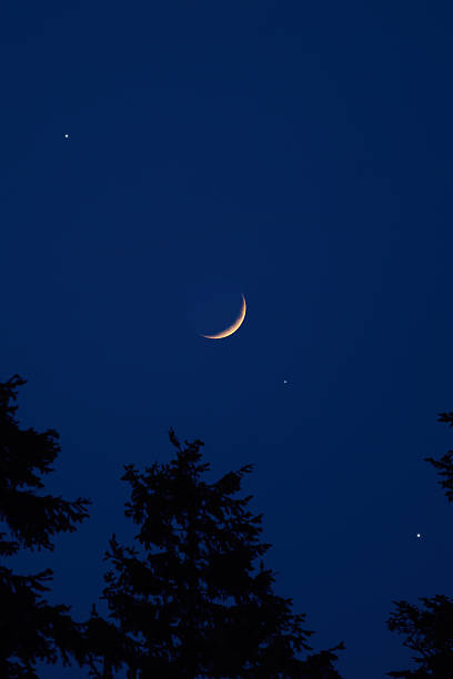 istock Crescent young Moon with stars, planets and rural countryside tree silhouettes. 2254362265