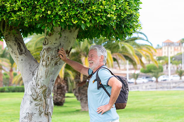 istock Smiling senior man with gray hair and beard resting his hand on a tree while standing in a sunny park with palm trees. Active lifestyle portrait representing healthy aging, outdoor leisure and wellbeing 2254363521