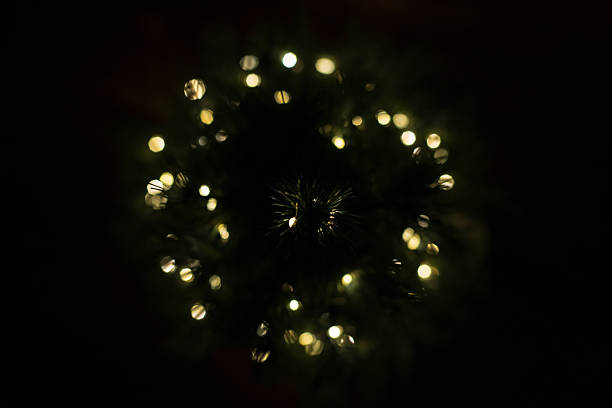 Nighttime Celebration: Shimmering golden lights on a dark spruce tree, capturing the quiet magic of a Christmas Eve night.