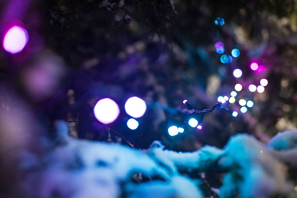 istock Dreamy bokeh background with pink Christmas lights on snow-covered pine branches at night. Soft focus holiday decorations creating a magical, cozy winter atmosphere. Festive seasonal concept. 2254372653