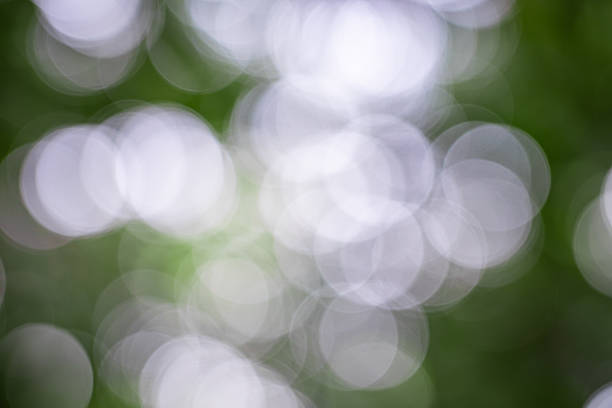 istock Abstract green forest background with soft blurred bokeh circles 2254373851