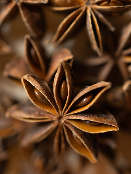 Star Anise Spice Pods Close Up on Light Background