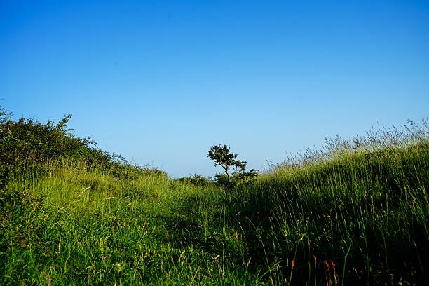 Idyllic rural, clear blue sky