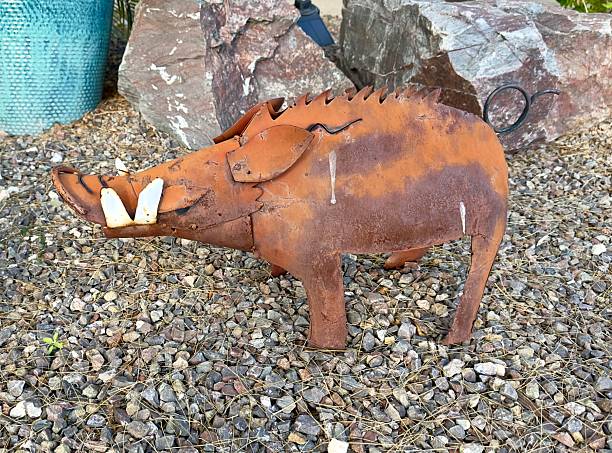 Javelina Garden Art