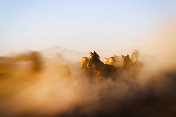 Local village men riding horse in mountainside dusty landscape in rural area of Kayseri