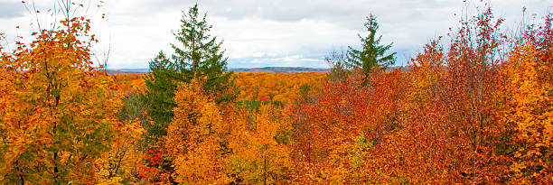 istock Beautiful fall colors -Northern Michigan 2254381790