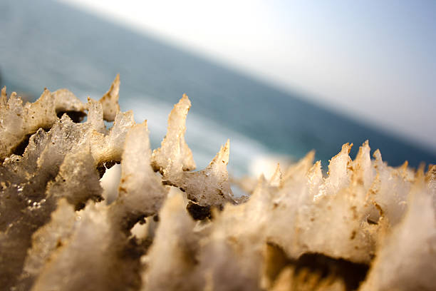 A macro close-up of sharp, crystalline salt formations on the banks of the Dead Sea, showcasing intricate details of natureâs artistry.