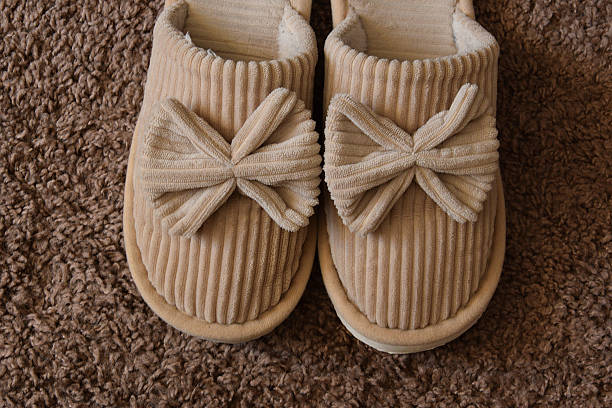 Top view of a pair of cozy beige female slippers made of corduroy fabric with large decorative bows. The slippers are placed on a soft brown shaggy carpet. Concept of home comfort, relaxation, footwear for indoors, and domestic life
