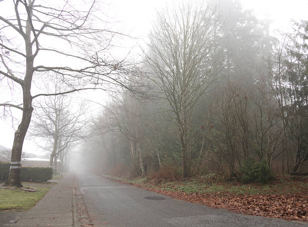 Surrey, Canada - December 30, 2025: Looking east on tree-lined 93A Avenue. Detached houses and front lawns line the street. Hemlock Park with a mixed forest is to the right.  Foggy winter morning with limited visibility in Metro Vancouver. Plant Hardiness Zone 8b.