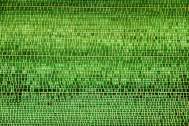 Macro view of bamboo leaf structure featuring reticulate venation with a distinct polygonal vein network and detailed green vascular pattern.