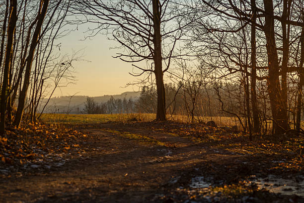 Winter cold afternoon orange sunset in area of Liberec