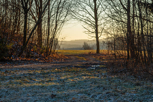 Winter cold afternoon orange sunset in area of Liberec