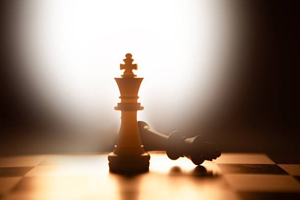 chess photographed on a chess board.