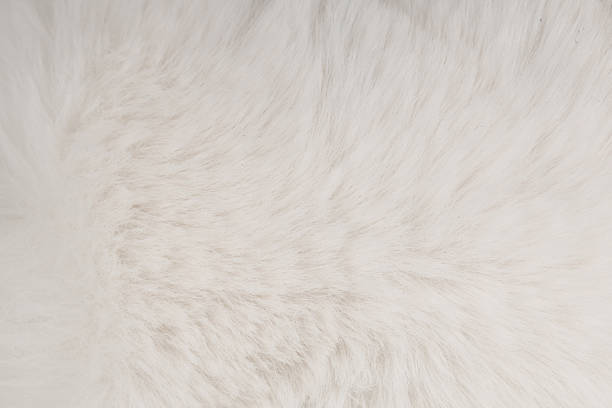 istock Soft White Faux Fur Texture Background 2254396955
