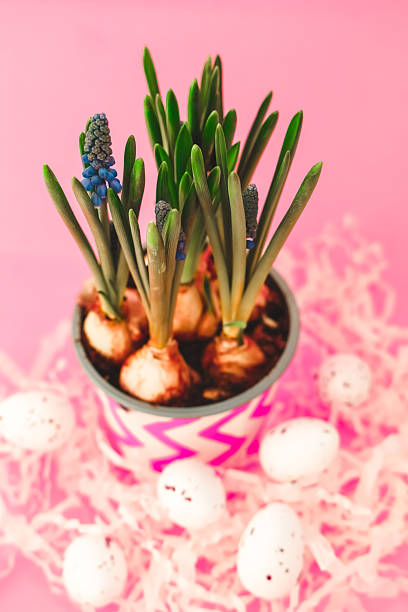 Green plants are growing in a pot placed on pink paper. Small decorative eggs are scattered around the pot. This scene shows a spring theme with colors and simple natural elements.